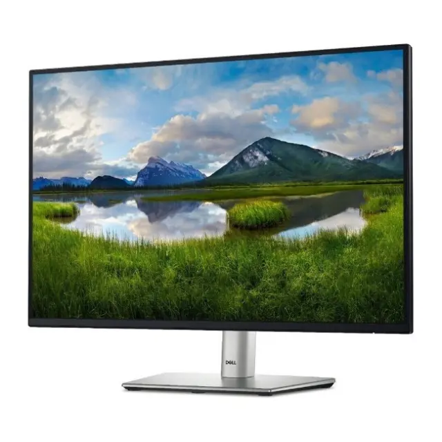 DELL P Series P2425E computer monitor 61.1 cm (24.1") 1920 x 1200 pixels WUXGA LCD Black 2