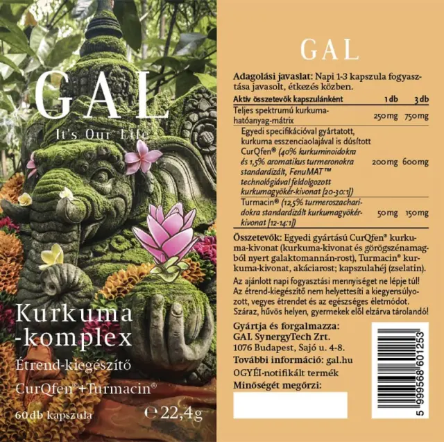 GAL Kurkuma-komplex 2