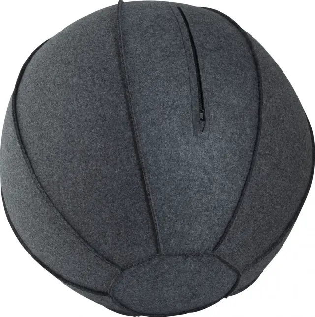 Κάλυμμα για Μπάλα Γυμναστικής AMILA GYMBALL 75cm - ONE SIZE 3