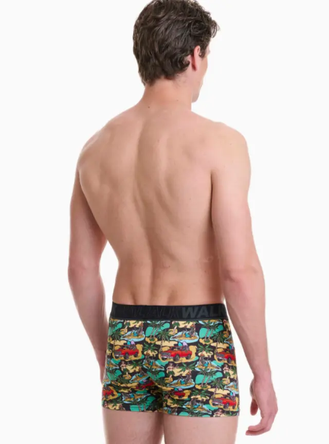 Walk ανδρικό boxer με σχέδιο(Hawaii) W1754-15-1 - XXL 2