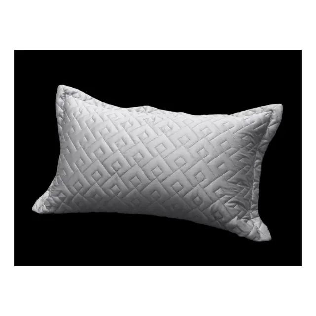 Μαξιλαροθήκη Διακόσμησης Guy Laroche Conte Silver 30x50