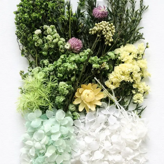 Αποξηραμένα λουλούδια mix, Green Valey