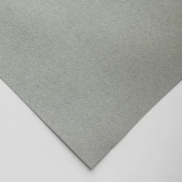 Χαρτόνι Canson Mi-Teintes 160g/m² 65x50cm - 354 Sky Grey