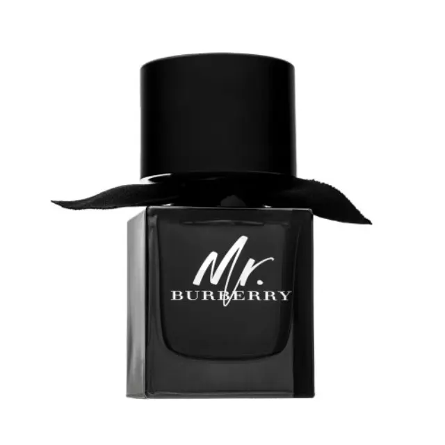 Burberry Mr. Burberry Eau de Parfum for men 50 ml