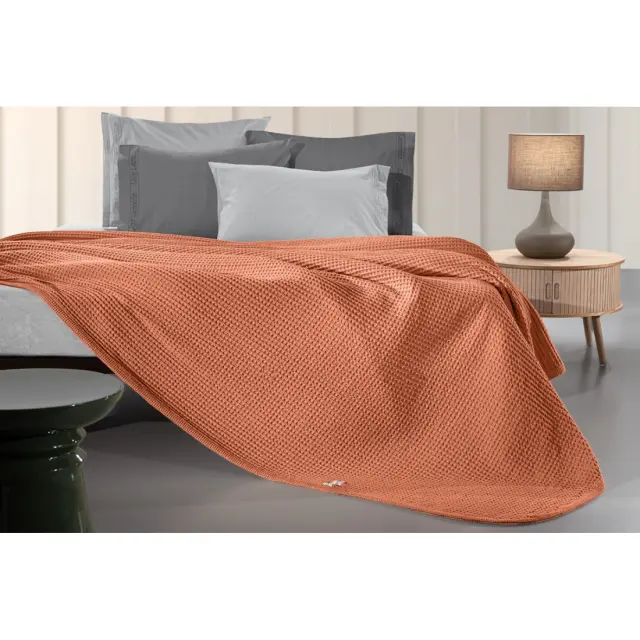 Κουβέρτα Μονή Guy Laroche Eternity Terra 160x240