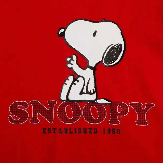 Σετ Snoopy με ανάγλυφα στοιχεία 3