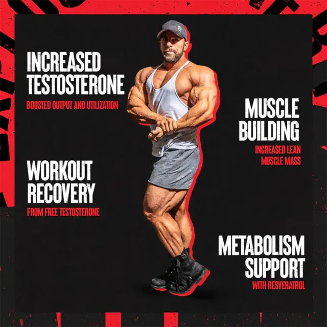 Universal Nutrition Animal Test 3