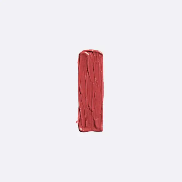 Elixir Forever Lip Mat Κραγιόν 209
