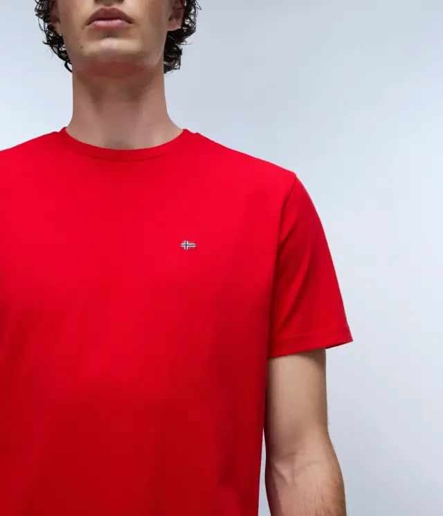 Napapijri - Ανδρικό T-shirt Salis Ss Sum Regular Fit NP0A4H8D-R06 Κόκκινο - XL 3