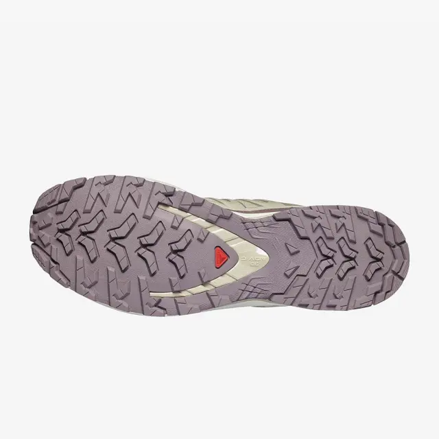 Salomon Men's XA Pro 3D V9 Lifelong Μπεζ 491538 (Salomon) 3