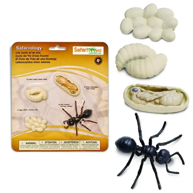 Safari Ltd Μινιατούρες Ο Κύκλος Ζωής ενός Μυρμηγκιού (4+ ετών) 663916