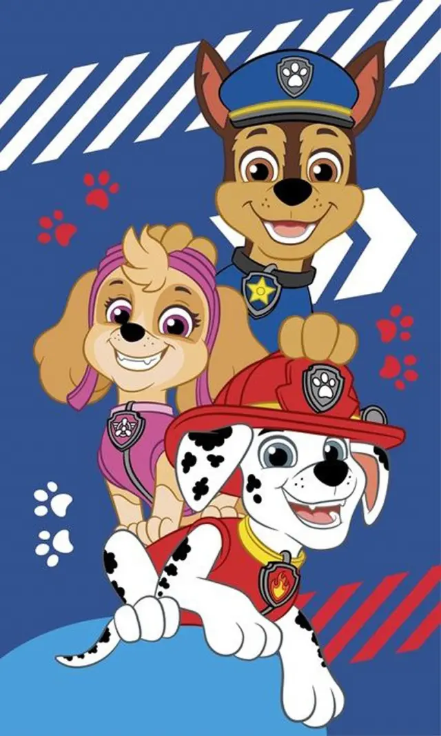 Πετσέτα Χεριών 30x50 Παιδική 320gsm Viopros Paw Patrol 40 Multicolor 100% βαμβακερό