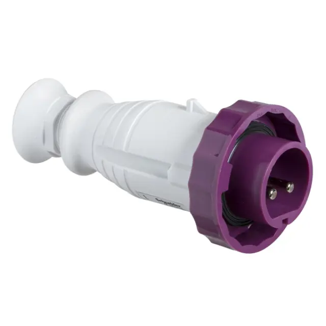 Plug Kaedra Box, 2P, 16 A, 20–25 V AC, IP67, Pratika Wander - Straight - 16 A - - 20...25 V AC