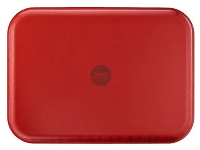 Tefal T-Flam Ταψί Ορθογώνιο Αλουμινίου με Αντικολλητική Επίστρωση 31x24cm J57147 2
