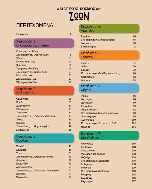 Susaeta Βιβλίο: Ο μαγικός κόσμος των ζώων 6+ ετών 2355 3