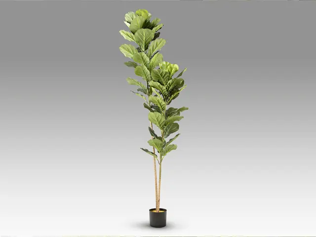 Higuera Violin 281232 Artificial Plant H200 – Τεχνητό Φυτό Ficus Lyrata Πράσινο