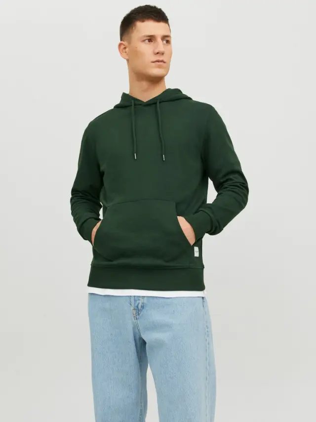 JJEBASIC SWEAT HOOD NOOS Mountain View 2