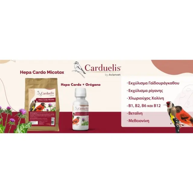 Avianvet Carduelis Hepa Cardo + Oregano Συμπλήρωμα Διατροφής Υγρό με Γαϊδουράγκαθο και Ρίγανη για Υποστήριξη Ήπατος και Πεπτικού Συστήματος Καρδερινών και Σπίνων 240ml 2