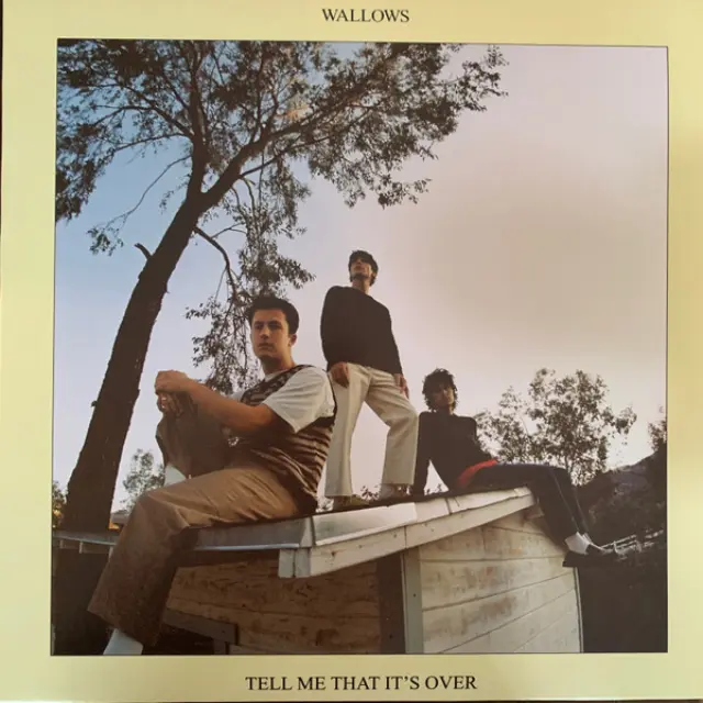 Wallows - Tell Me That It's Over (Vinyl)