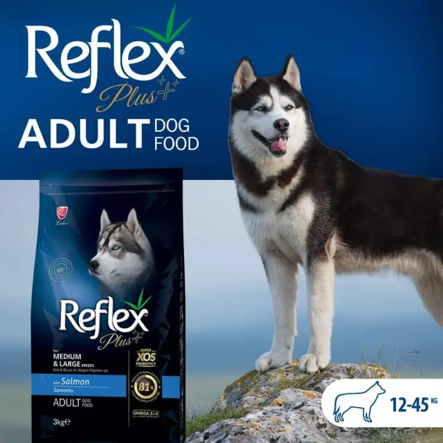 Reflex Plus Medium/Large Adult Salmon 3kg 2