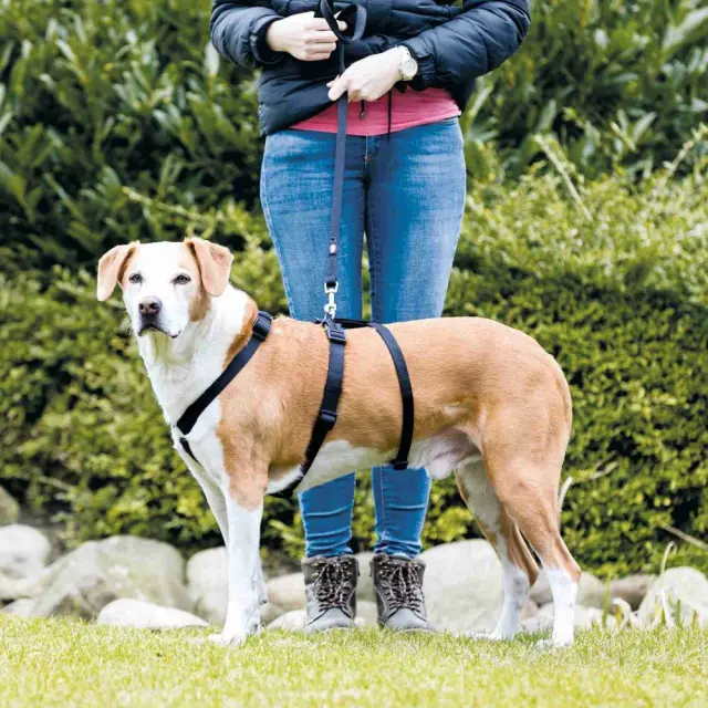 Trixie Stay Harness Σαμαράκι Ασφάλειας Μαύρο Small/Medium 40-65cm/15mm 2