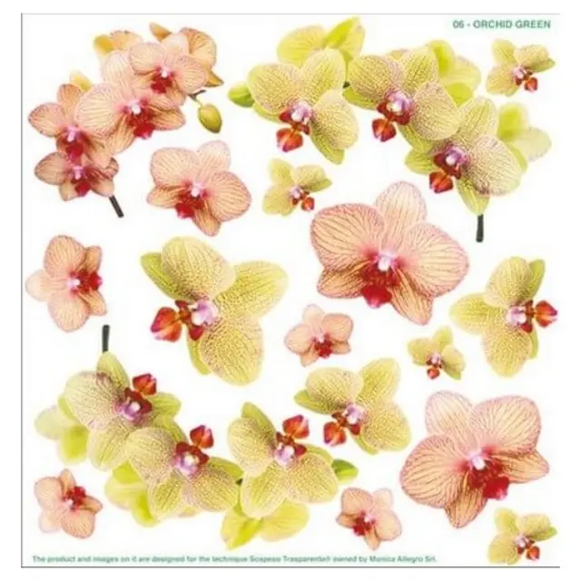 Τυπωμένο φύλλο-Ζελατίνη για Sospeso STS2.06, Orchid Green
