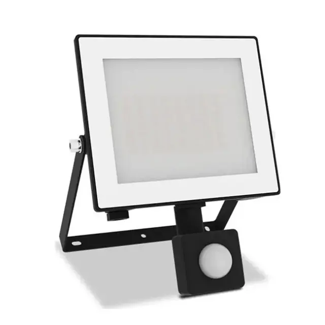 Philips Lois Flood Light LED 30W 3200lm 3000K IP65 Black (929004642401)
