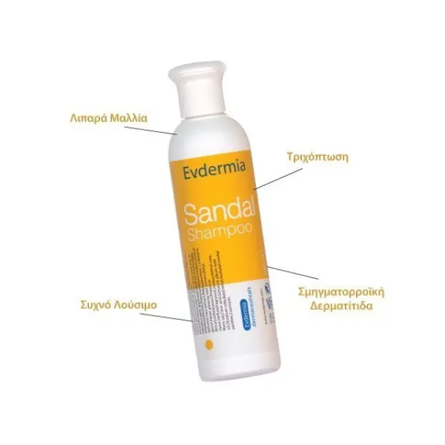 Evdermia Sandal Shampoo Σμηγματορρυθμιστικό Σαμπουάν για Λιπαρά Μαλλιά, 250ml 2