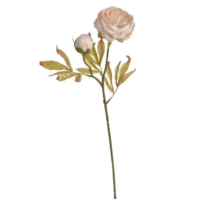Παιώνια κλαδί, 71cm, σομόν ανοιχτό