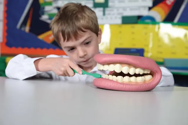 TickiT Γιγαντιαίο Ομοίωμα Στόματος - Giant Teeth Demonstration Model 03083 3