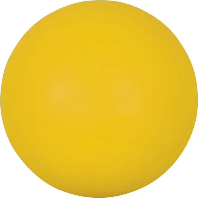 AMILA KIDS Σφαίρα εκπαιδευτική για μικρά παιδιά (44564)