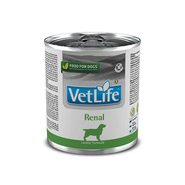 FARMINA Vet Life Canine Renal - wet dog food - 300 g