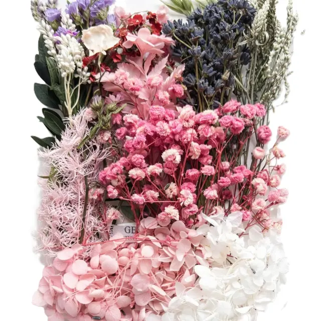 Αποξηραμένα λουλούδια mix, Pink blush