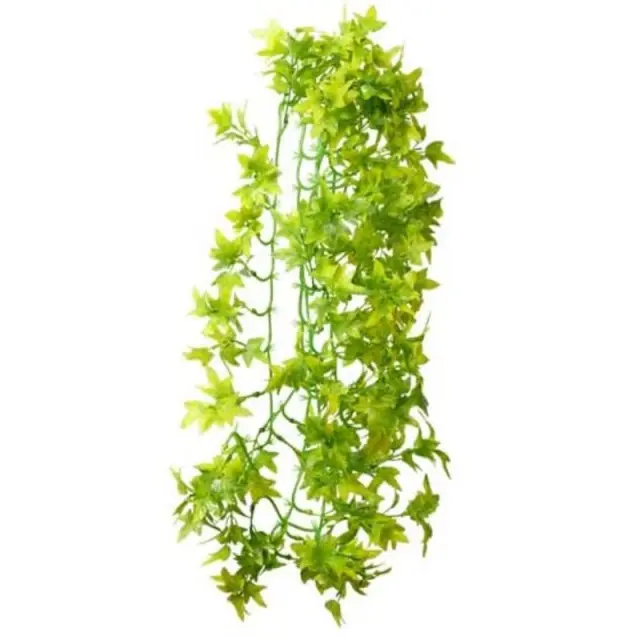 Hobby Climber Ivy Hanging Διακοσμητικό Φυτό 70cm