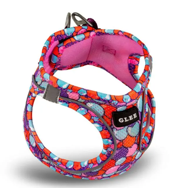 Glee Σαμαράκι Ballons Fuschia 3XS