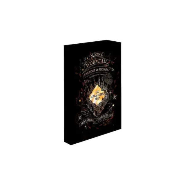 Pyramid Harry Potter Marauders Map - Light Canvas 40X30 Cm