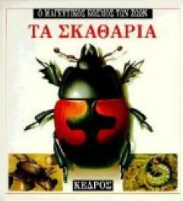 Ο μαγευτικός κόσμος των ζώων: Τα σκαθάρια
