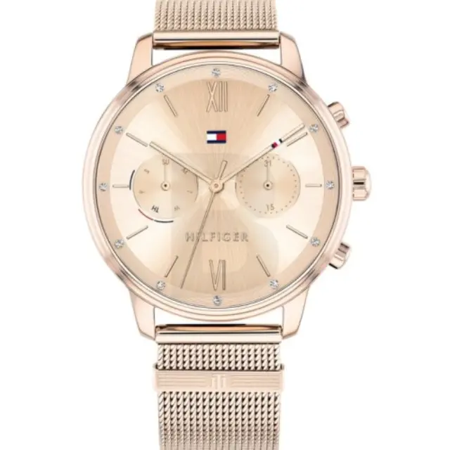 Tommy Hilfiger Blake 1782303