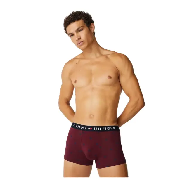 Tommy Hilfiger Ανδρικό Boxer TH Monogram Jersey Trunk, Χρώμα Cmd Small Deep Rouge - S