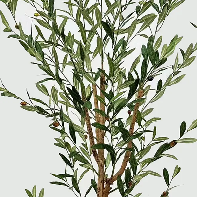 Διακοσμητικό φυτό σε γλάστρα Olia Inart πράσινο 65x55x180εκ 3