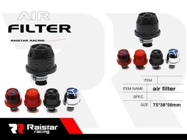 Φίλτρο αναθυμιάσεων αυτοκινήτου - Mini - R-GT1103-2 - 310598