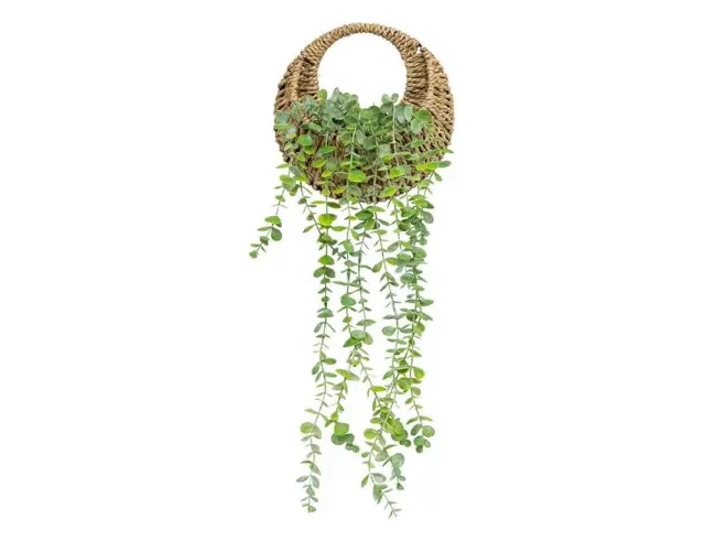 Tεχνητό φυτό σε γλάστρα Atmosphera - Ευκάλυπτος - 26cm 204255