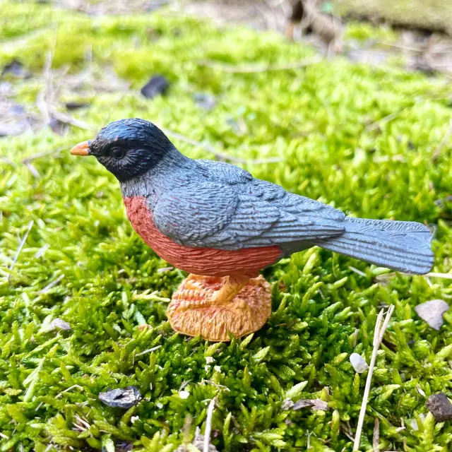 Safari Ltd Μινιατούρες Backyard Birds TOOB Πουλιά Της Αυλής (3+ ετών) 678304 3