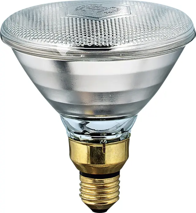 IR PAR38 E27 240V 175W Clear