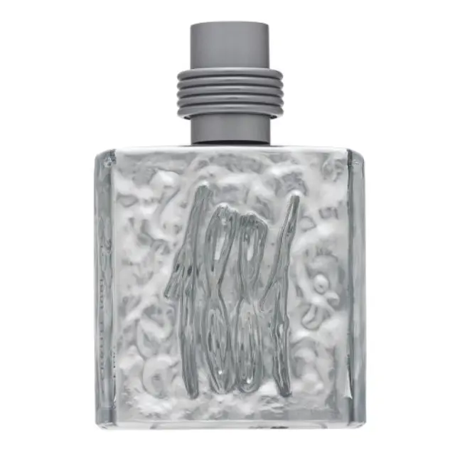 Cerruti 1881 Silver Eau de Toilette for men 100 ml