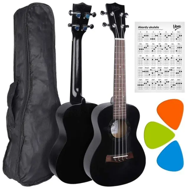 V-TONE UK23 BK acoustic concert ukulele 23" black + cover
