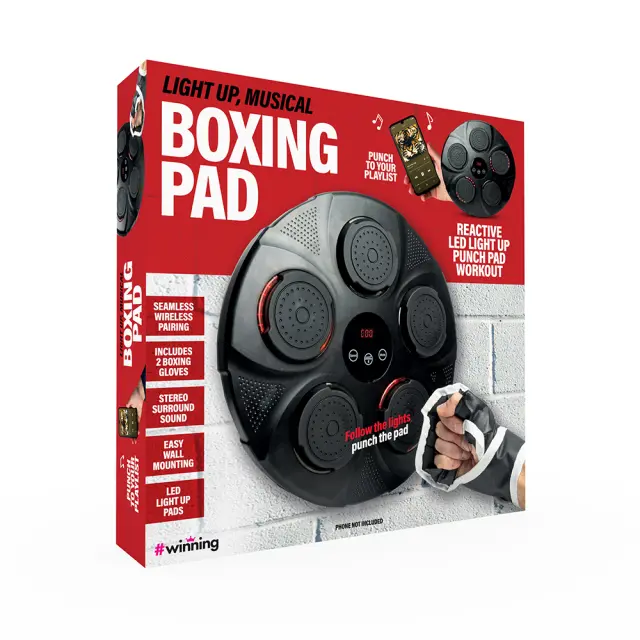The Source Winning Διαδραστικός Στόχος Πυγμαχίας / Light Up Musical Boxing Pad