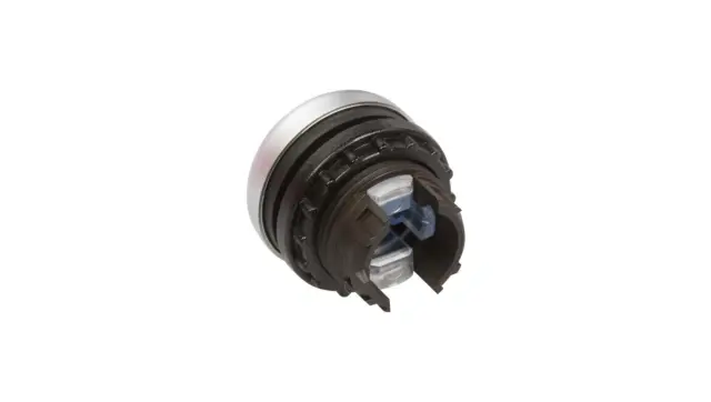 M22-DL-B Illuminated pushbutton actuator, RMQ-Titan, Flush, momentary, Blue, Blank, Bezel: titanium