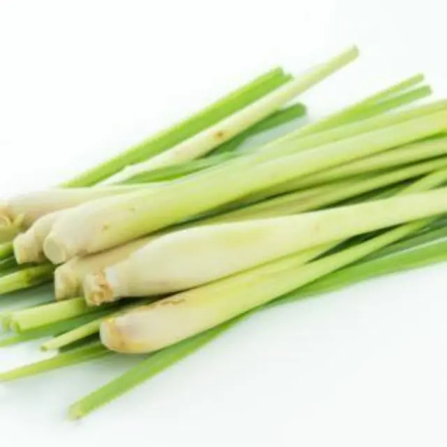 Rosveda Essential Oil Lemongrass 2