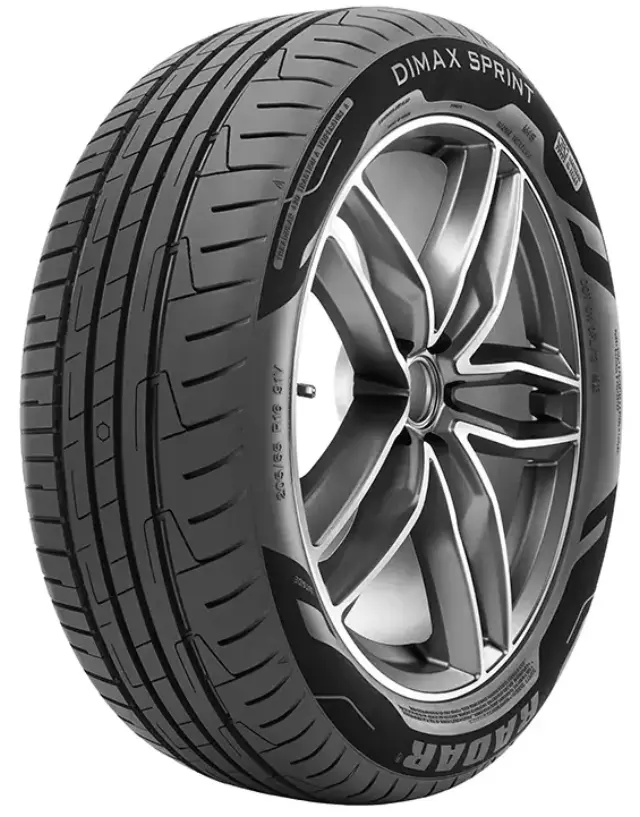 215/55R18 99Y XL Radar Dimax Sport EVc